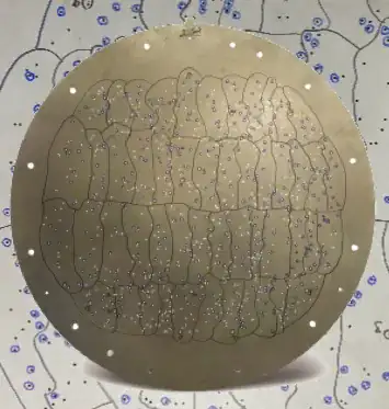SDSS Plug Plate