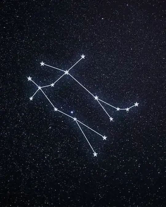 Gemini 1