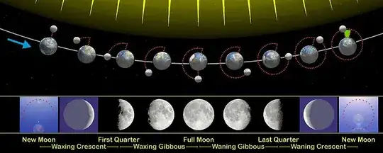 lunar phases