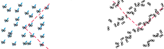 homo-noniso