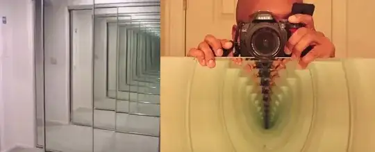 Mirror in mirror reflection