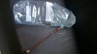 the bag