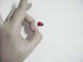 Snipping the bug