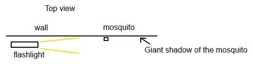 Catch a mosquito