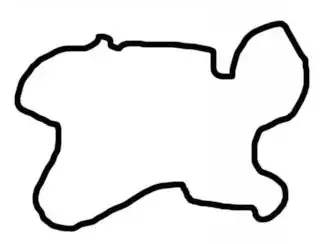 Irregular Shape